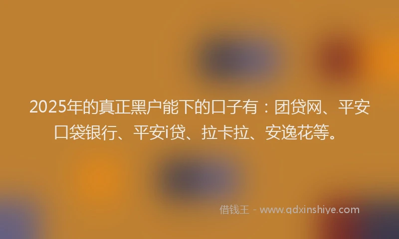 2025年的真正黑户能下的口子有：团贷网、平安口袋银行、平安i贷、拉卡拉、安逸花等。