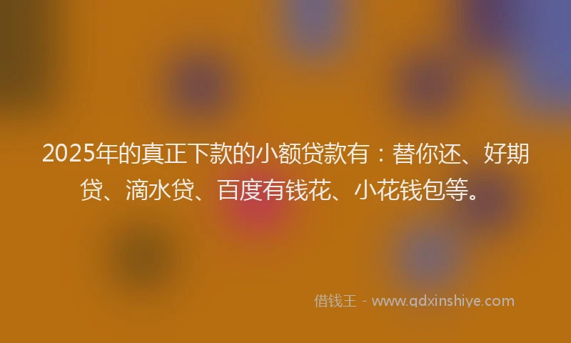 2025年的真正下款的小额贷款有：替你还、好期贷、滴水贷、百度有钱花、小花钱包等。