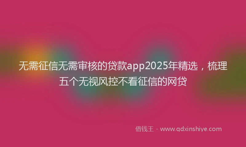 无需征信无需审核的贷款app2025年精选，梳理五个无视风控不看征信的网贷