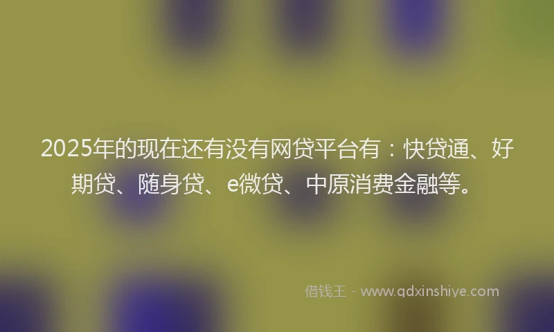 2025年的现在还有没有网贷平台有：快贷通、好期贷、随身贷、e微贷、中原消费金融等。