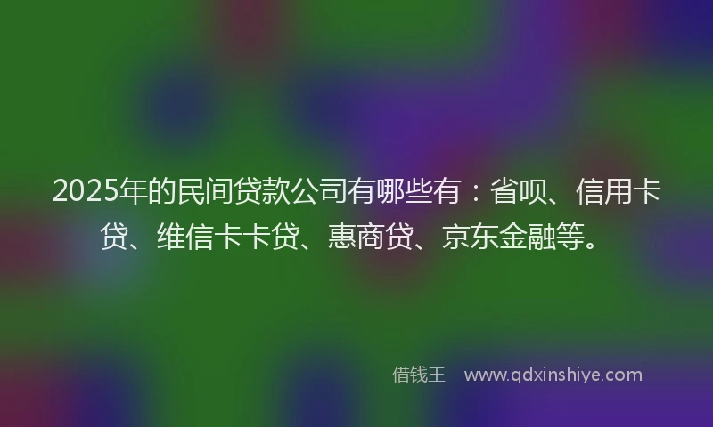 2025年的民间贷款公司有哪些有：省呗、信用卡贷、维信卡卡贷、惠商贷、京东金融等。