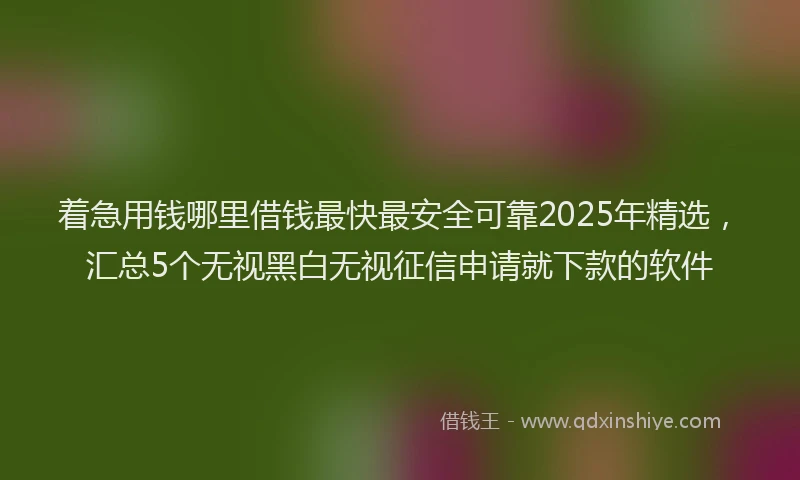 着急用钱哪里借钱最快最安全可靠2025年精选，汇总5个无视黑白无视征信申请就下款的软件