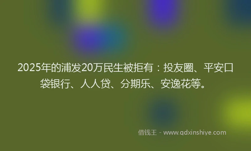 2025年的浦发20万民生被拒有：投友圈、平安口袋银行、人人贷、分期乐、安逸花等。