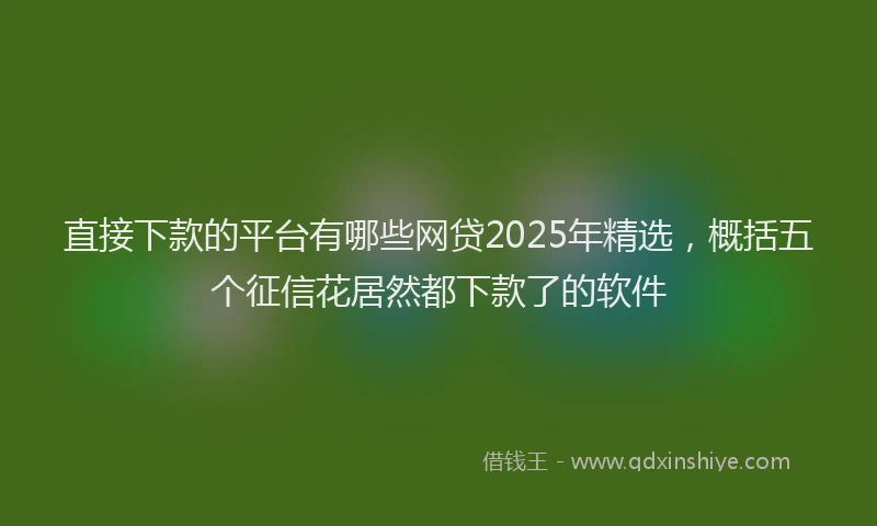 直接下款的平台有哪些网贷2025年精选，概括五个征信花居然都下款了的软件