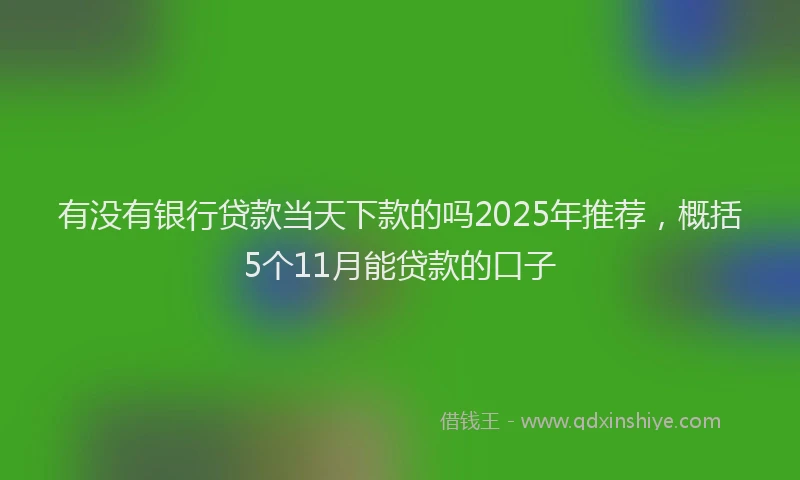 有没有银行贷款当天下款的吗2025年推荐，概括5个11月能贷款的口子