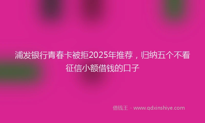 浦发银行青春卡被拒2025年推荐，归纳五个不看征信小额借钱的口子