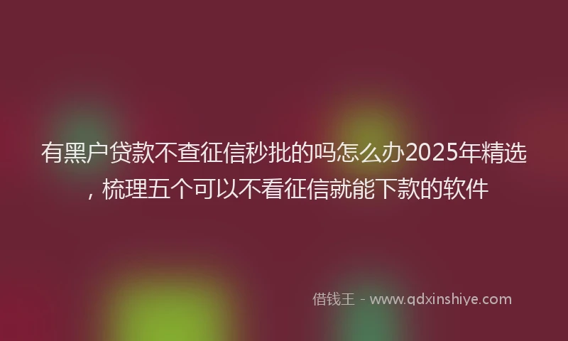 有黑户贷款不查征信秒批的吗怎么办2025年精选，梳理五个可以不看征信就能下款的软件