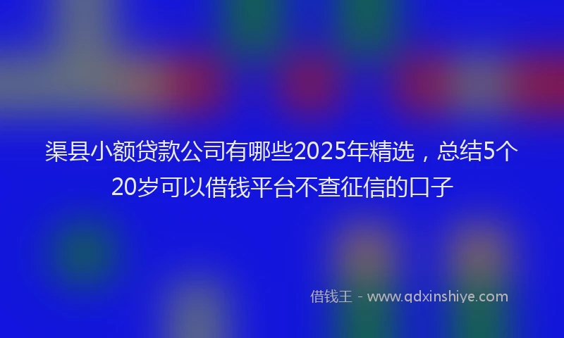 渠县小额贷款公司有哪些2025年精选，总结5个20岁可以借钱平台不查征信的口子