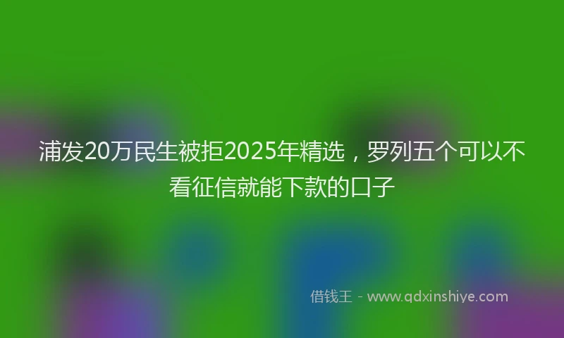 浦发20万民生被拒2025年精选，罗列五个可以不看征信就能下款的口子