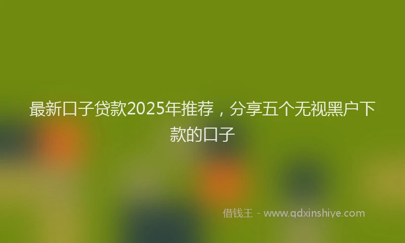 最新口子贷款2025年推荐，分享五个无视黑户下款的口子