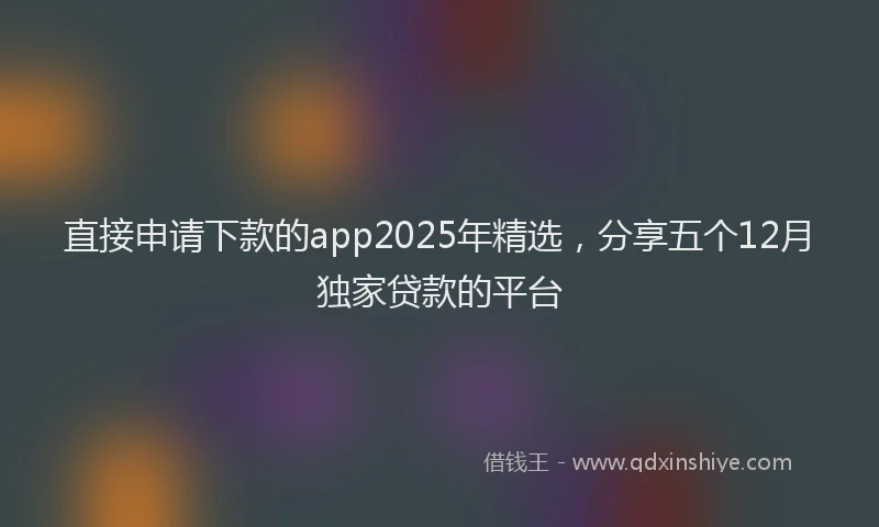直接申请下款的app2025年精选，分享五个12月独家贷款的平台
