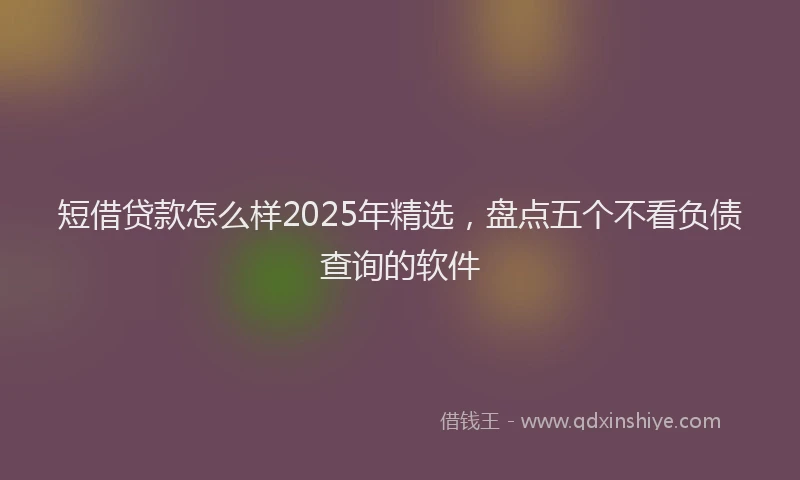 短借贷款怎么样2025年精选，盘点五个不看负债查询的软件