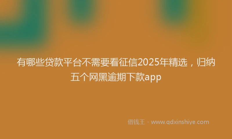 有哪些贷款平台不需要看征信2025年精选，归纳五个网黑逾期下款app