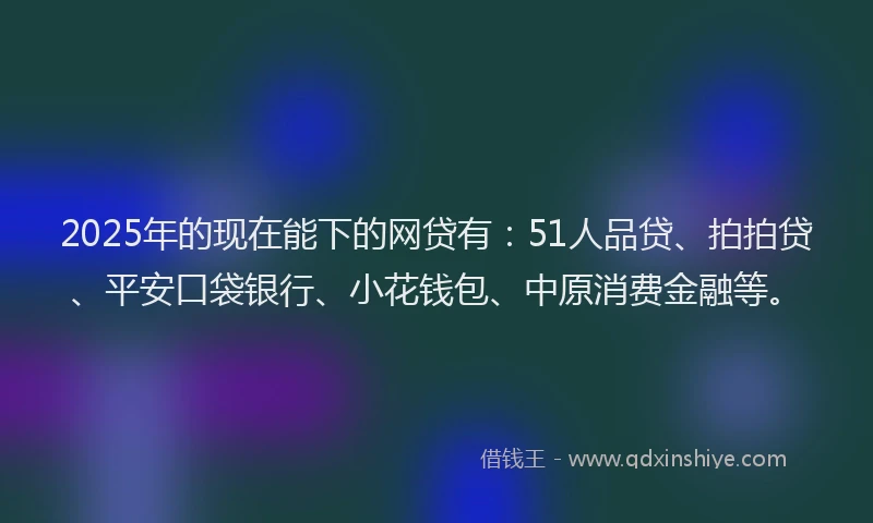 2025年的现在能下的网贷有：51人品贷、拍拍贷、平安口袋银行、小花钱包、中原消费金融等。