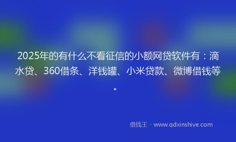 2025年的有什么不看征信的小额网贷软件有：滴水贷、360借条、洋钱罐、小米贷款、微博借钱等。