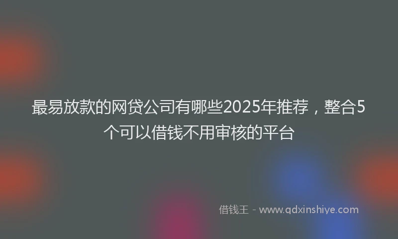 最易放款的网贷公司有哪些2025年推荐，整合5个可以借钱不用审核的平台