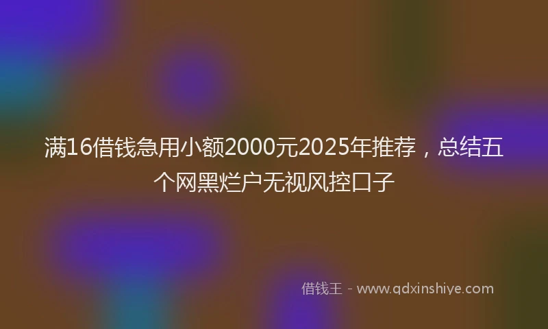 满16借钱急用小额2000元2025年推荐，总结五个网黑烂户无视风控口子