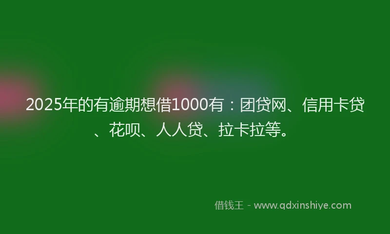 2025年的有逾期想借1000有：团贷网、信用卡贷、花呗、人人贷、拉卡拉等。