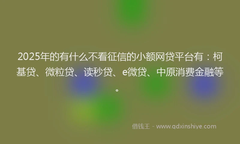 2025年的有什么不看征信的小额网贷平台有：柯基贷、微粒贷、读秒贷、e微贷、中原消费金融等。