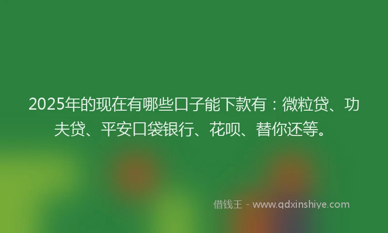 2025年的现在有哪些口子能下款有：微粒贷、功夫贷、平安口袋银行、花呗、替你还等。