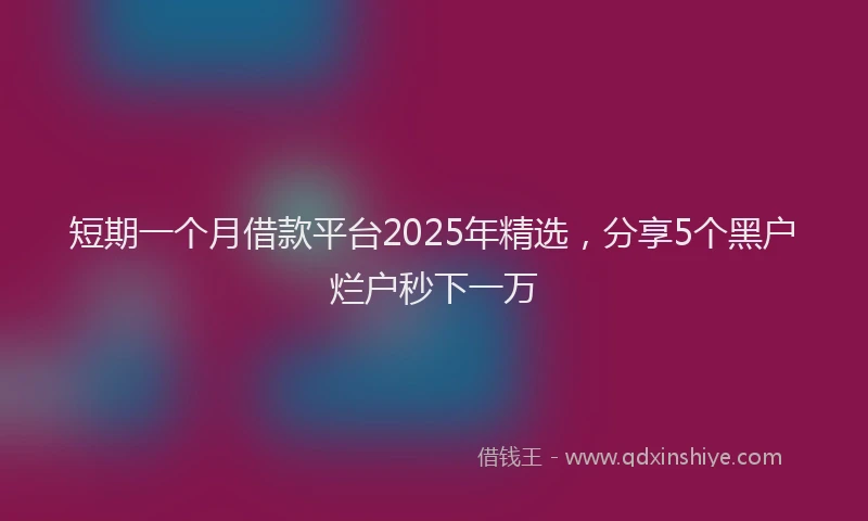 短期一个月借款平台2025年精选，分享5个黑户烂户秒下一万