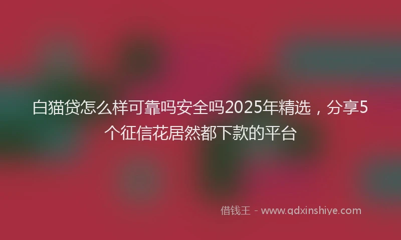 白猫贷怎么样可靠吗安全吗2025年精选，分享5个征信花居然都下款的平台