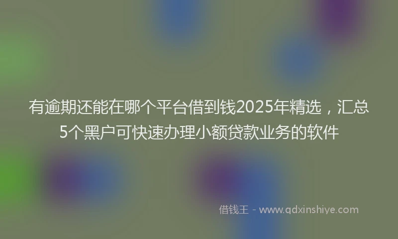 有逾期还能在哪个平台借到钱2025年精选，汇总5个黑户可快速办理小额贷款业务的软件