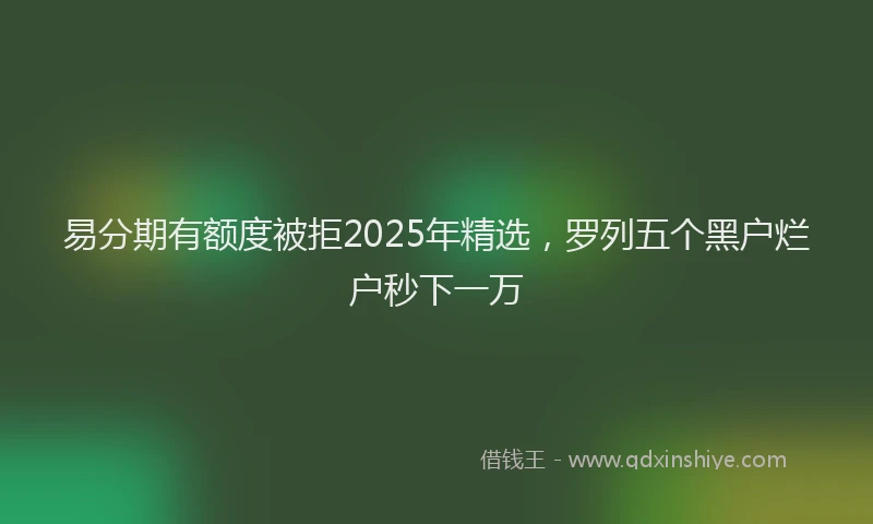 易分期有额度被拒2025年精选，罗列五个黑户烂户秒下一万