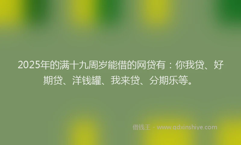 2025年的满十九周岁能借的网贷有：你我贷、好期贷、洋钱罐、我来贷、分期乐等。