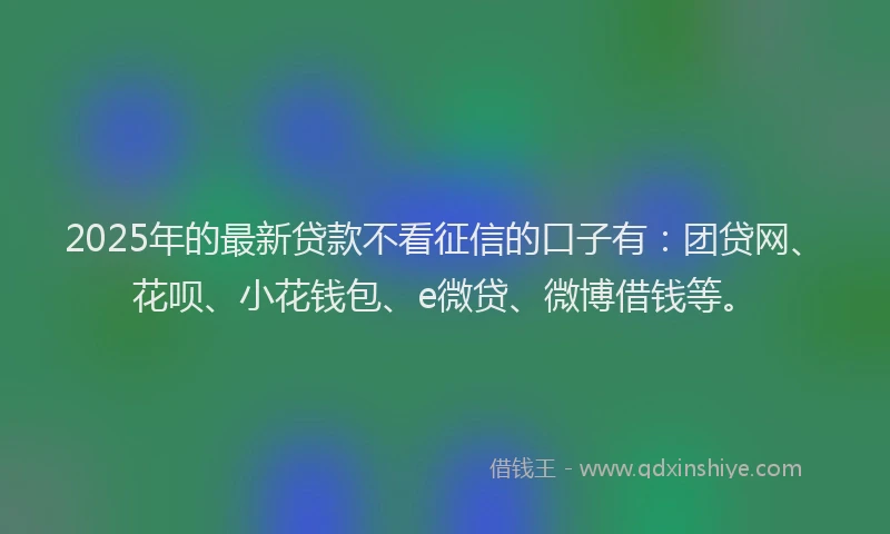 2025年的最新贷款不看征信的口子有：团贷网、花呗、小花钱包、e微贷、微博借钱等。