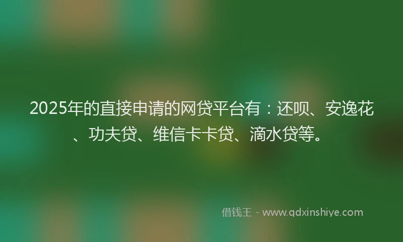 2025年的直接申请的网贷平台有：还呗、安逸花、功夫贷、维信卡卡贷、滴水贷等。