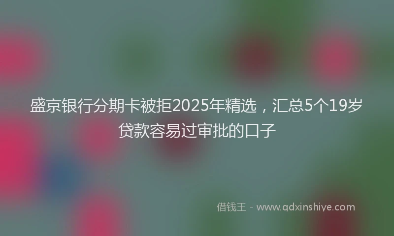 盛京银行分期卡被拒2025年精选，汇总5个19岁贷款容易过审批的口子