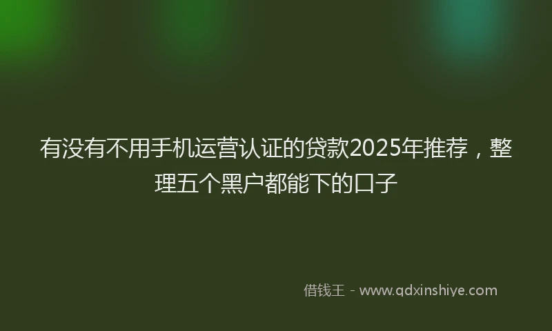 有没有不用手机运营认证的贷款2025年推荐，整理五个黑户都能下的口子