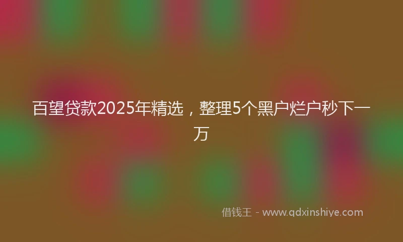 百望贷款2025年精选，整理5个黑户烂户秒下一万