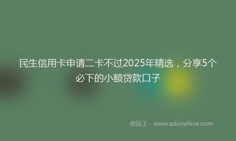 民生信用卡申请二卡不过2025年精选，分享5个必下的小额贷款口子