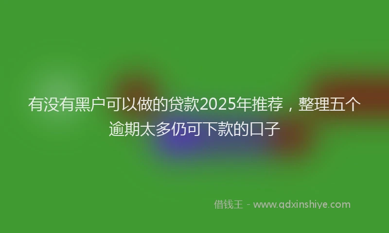 有没有黑户可以做的贷款2025年推荐，整理五个逾期太多仍可下款的口子
