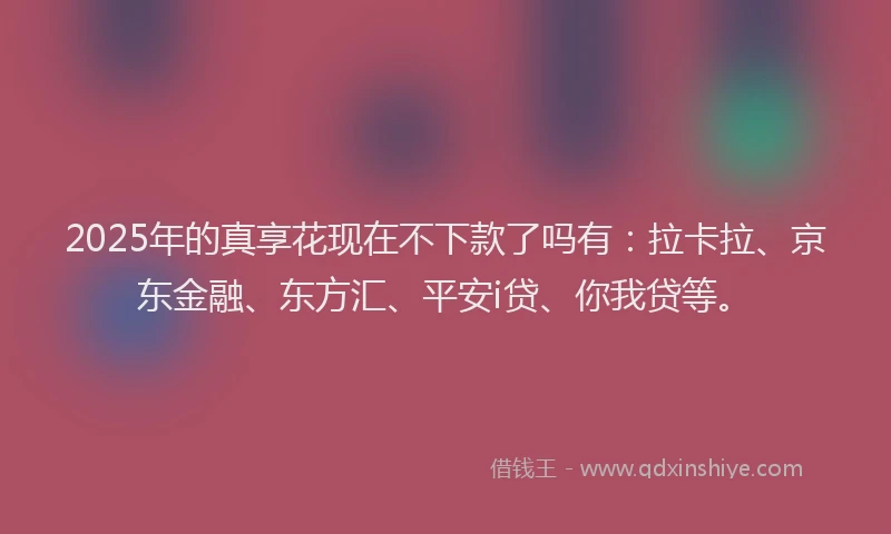2025年的真享花现在不下款了吗有：拉卡拉、京东金融、东方汇、平安i贷、你我贷等。