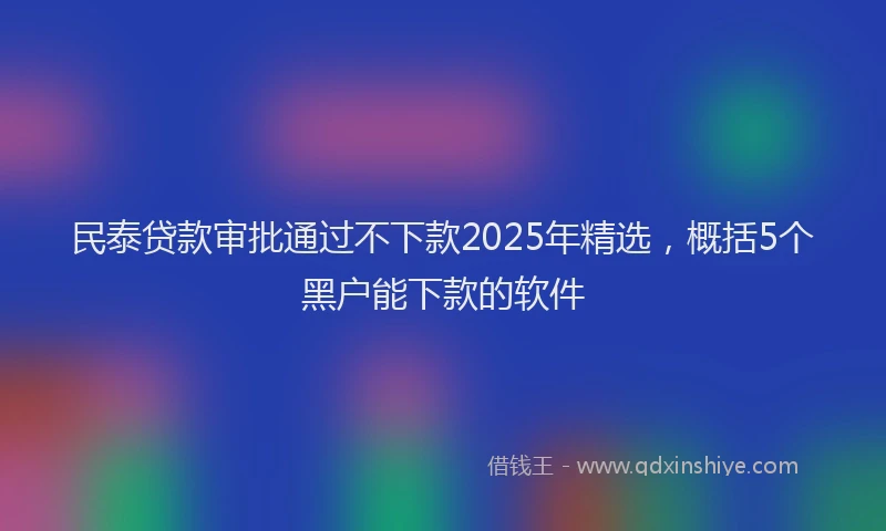 民泰贷款审批通过不下款2025年精选，概括5个黑户能下款的软件