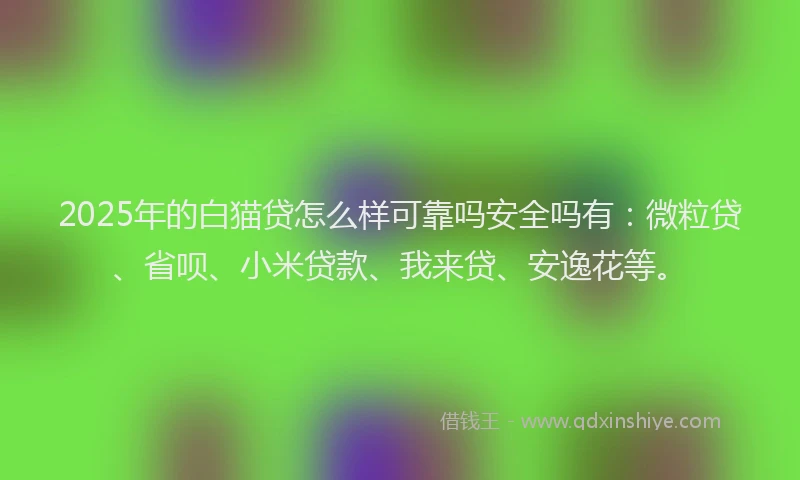 2025年的白猫贷怎么样可靠吗安全吗有：微粒贷、省呗、小米贷款、我来贷、安逸花等。