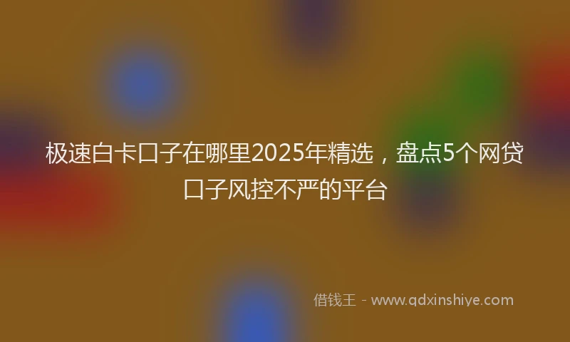 极速白卡口子在哪里2025年精选，盘点5个网贷口子风控不严的平台