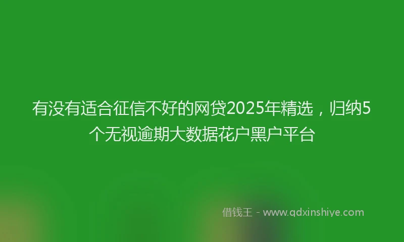 有没有适合征信不好的网贷2025年精选，归纳5个无视逾期大数据花户黑户平台