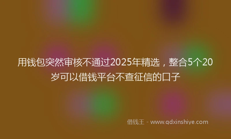 用钱包突然审核不通过2025年精选，整合5个20岁可以借钱平台不查征信的口子