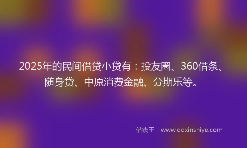 2025年的民间借贷小贷有：投友圈、360借条、随身贷、中原消费金融、分期乐等。