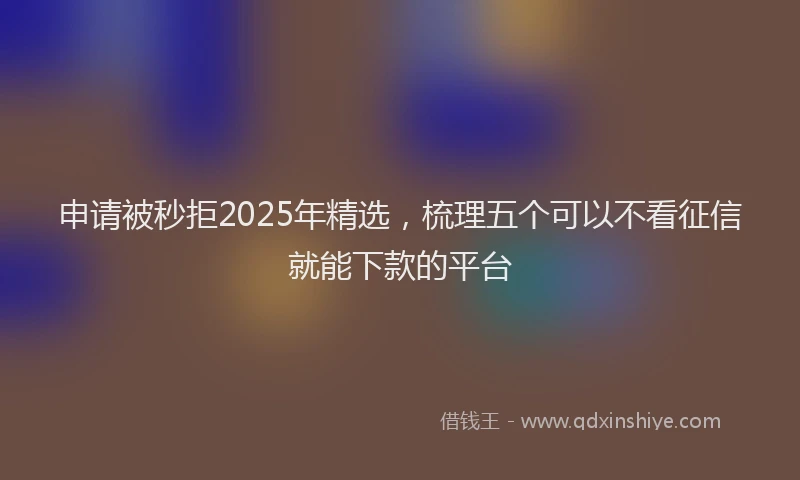 申请被秒拒2025年精选，梳理五个可以不看征信就能下款的平台