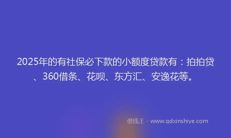 2025年的有社保必下款的小额度贷款有：拍拍贷、360借条、花呗、东方汇、安逸花等。