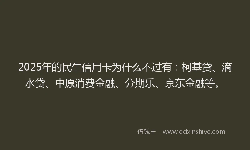 2025年的民生信用卡为什么不过有：柯基贷、滴水贷、中原消费金融、分期乐、京东金融等。