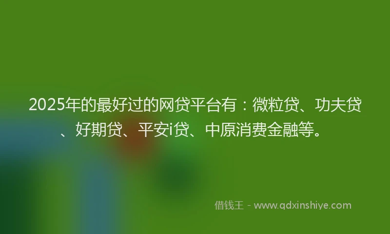 2025年的最好过的网贷平台有：微粒贷、功夫贷、好期贷、平安i贷、中原消费金融等。