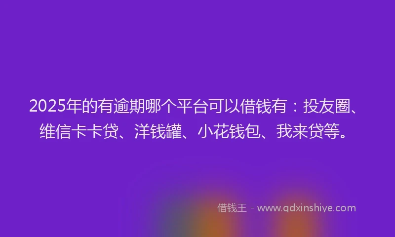 2025年的有逾期哪个平台可以借钱有：投友圈、维信卡卡贷、洋钱罐、小花钱包、我来贷等。