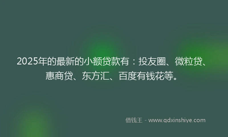 2025年的最新的小额贷款有：投友圈、微粒贷、惠商贷、东方汇、百度有钱花等。