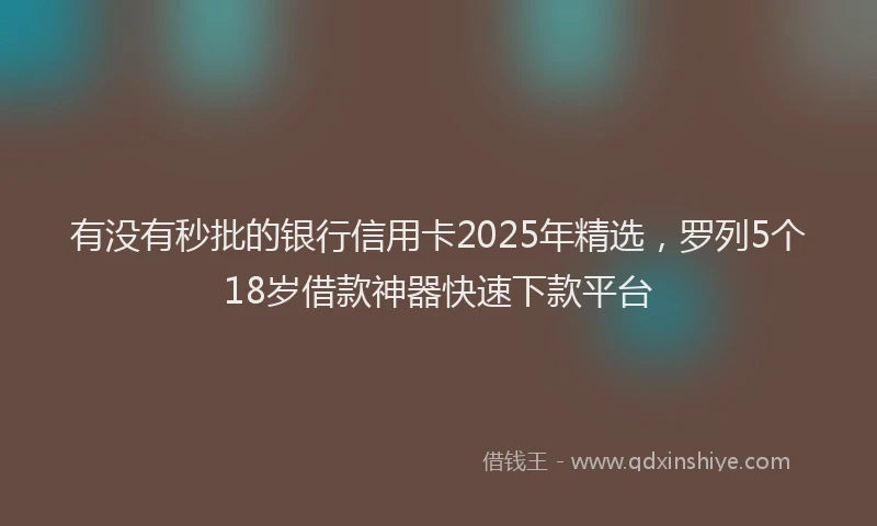有没有秒批的银行信用卡2025年精选，罗列5个18岁借款神器快速下款平台